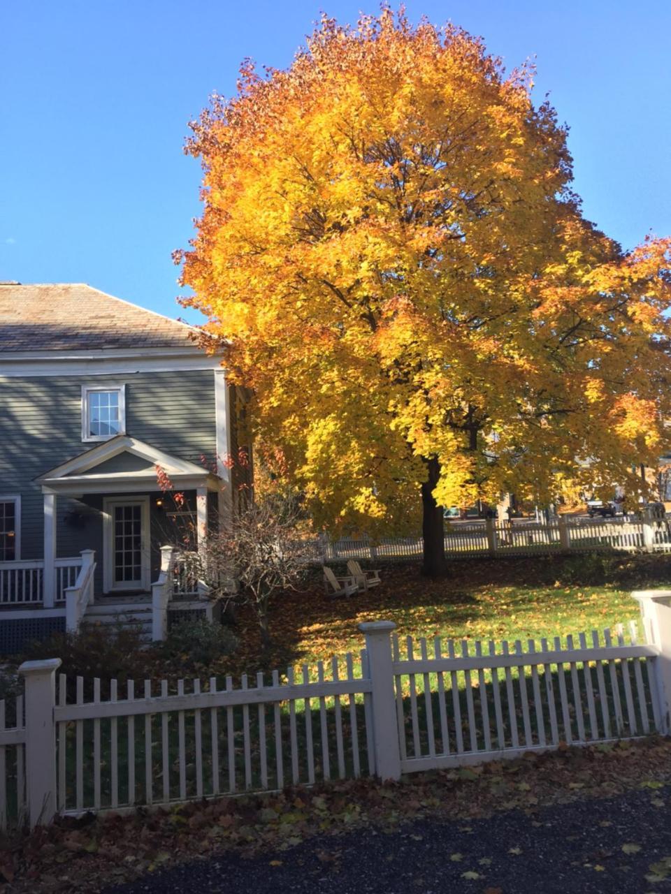 Eddington House Inn North Bennington Dış mekan fotoğraf